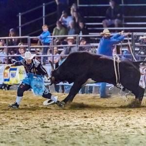 Meet your Posher, Mitch